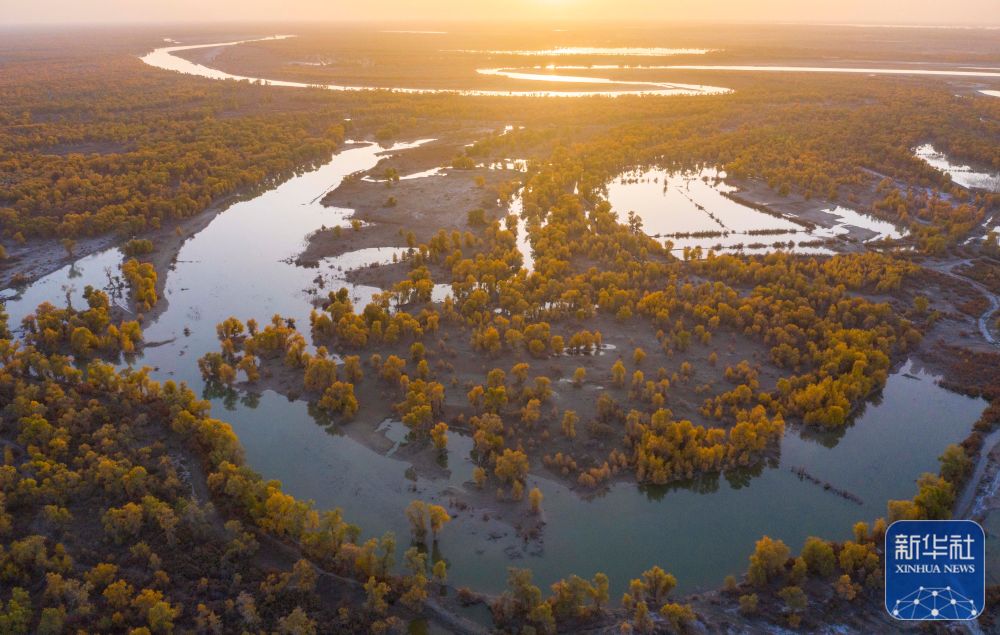 新疆博乐博尔塔拉河国家湿地公园秋景(2022年10月20日摄,无人机照片