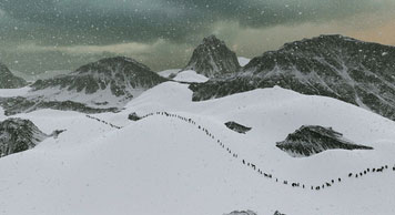 Image-1