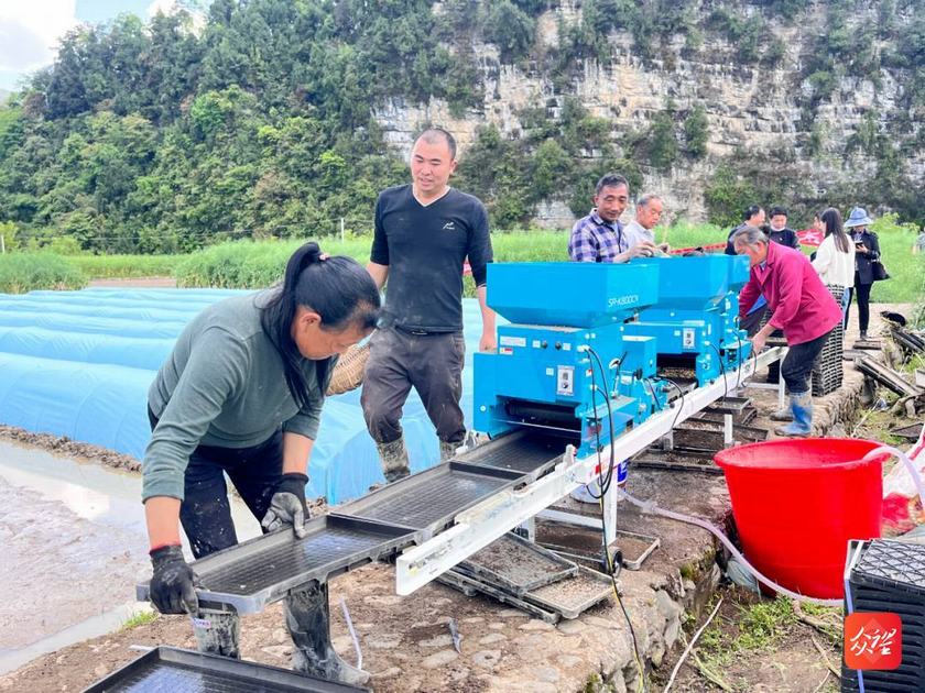 【大国“粮”策】微型农机上山 探索贵州农业高效成长 