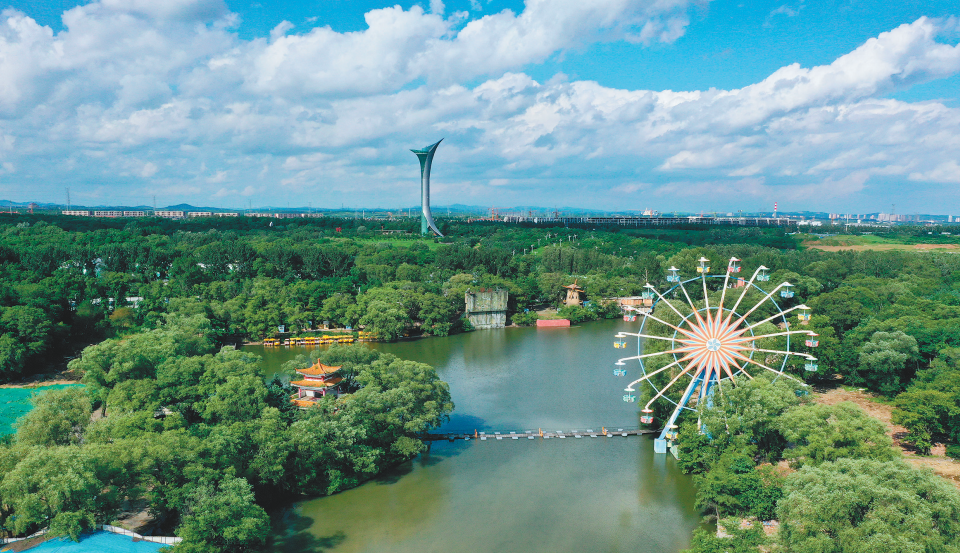 夏日雨后的沈阳植物园郁郁葱葱焕发无限生机