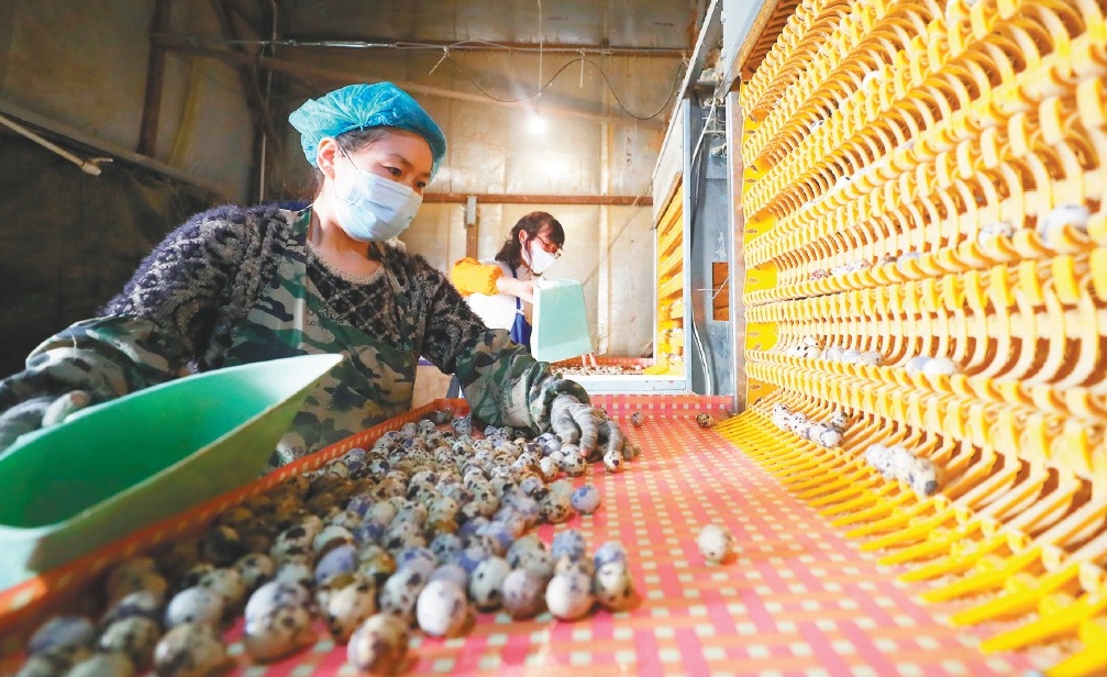 农村土办法建羊棚U8国际- U8国际官方网站- U8体育APP下载