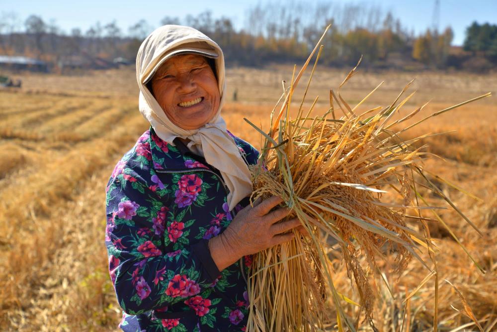 【我们的新时代】摄影《大丰收》-东北新闻网
