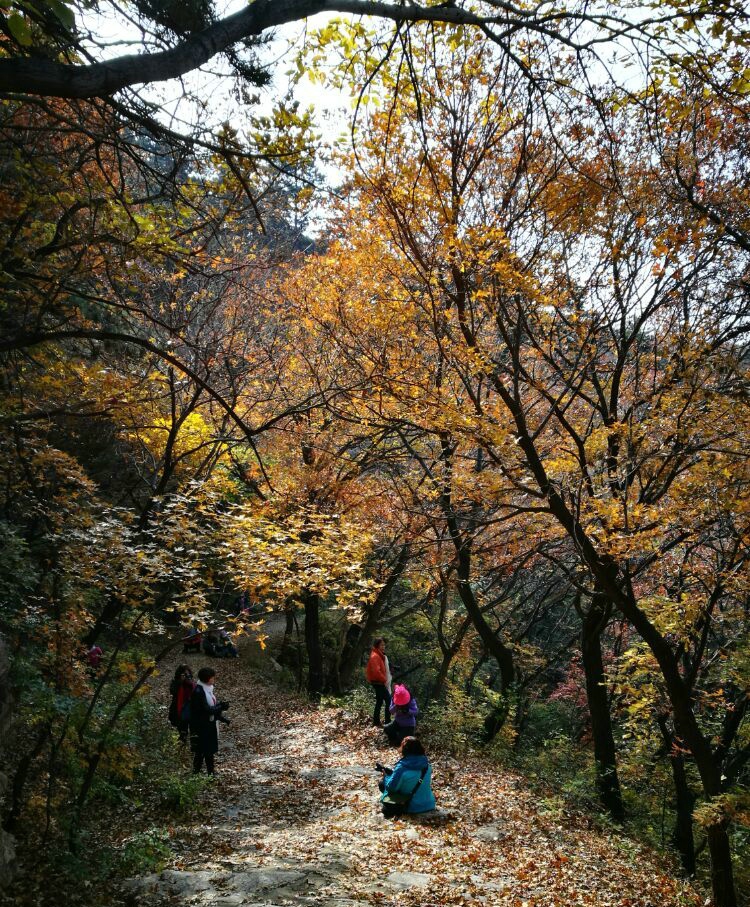 义县老爷岭风景区简介图片