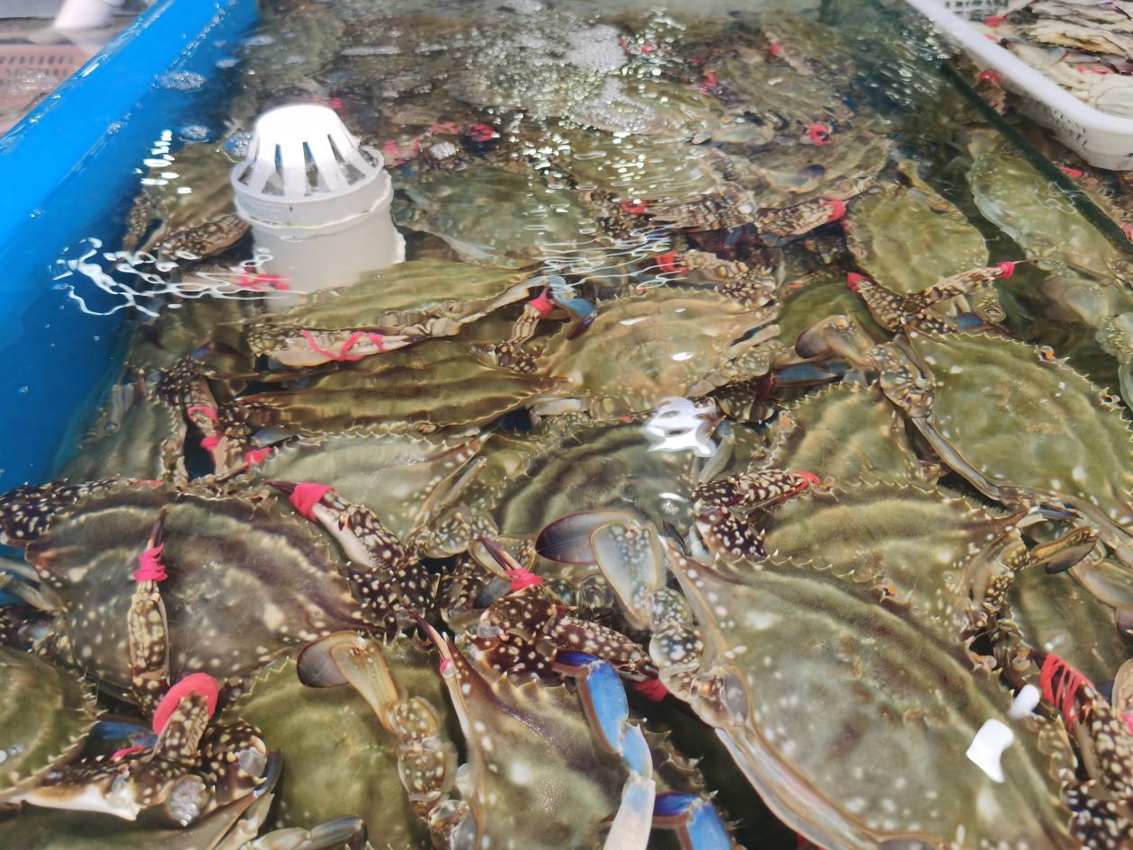 丹东商品批发