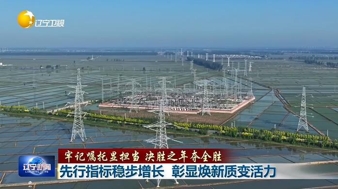牢记嘱托显担当 决胜之年夺全胜丨先行指标稳步增长 彰显焕新质变活力