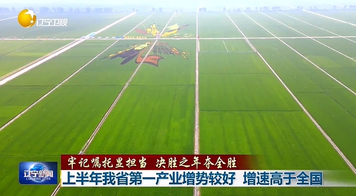 牢记嘱托显担当 决胜之年夺全胜丨上半年辽宁第一产业增势较好 增速高于全国